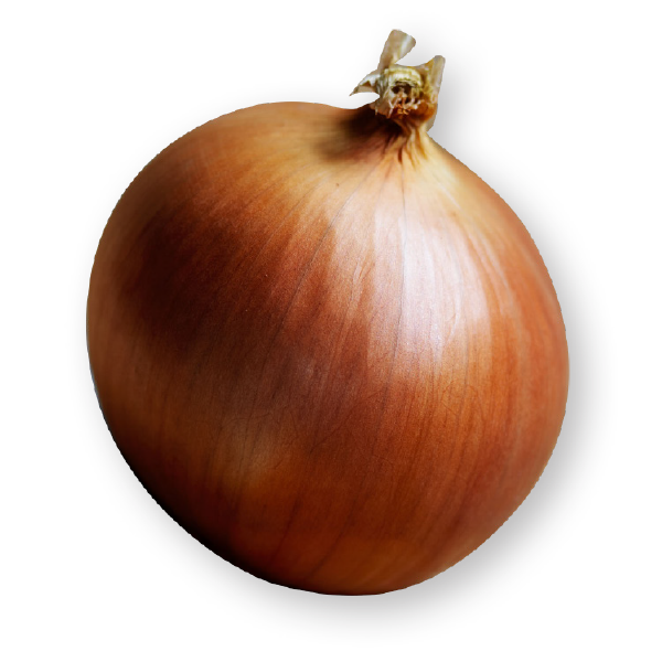 Brown Onion PNG Image High Quality PNG Image