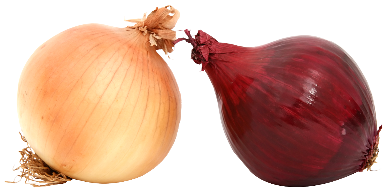 Photos Onion Free Transparent Image HD PNG Image