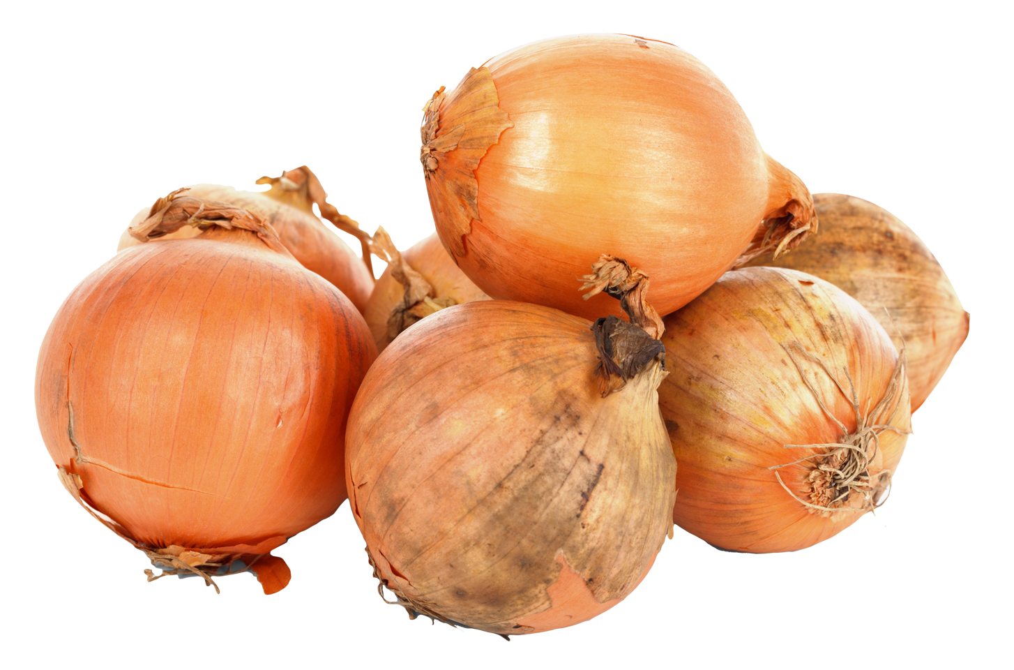 Pic Onion Download Free Image PNG Image