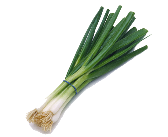 Green Onion Transparent Image PNG Image
