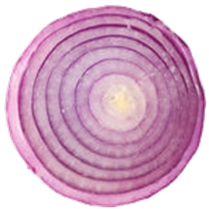 Onion Slice Image PNG Image
