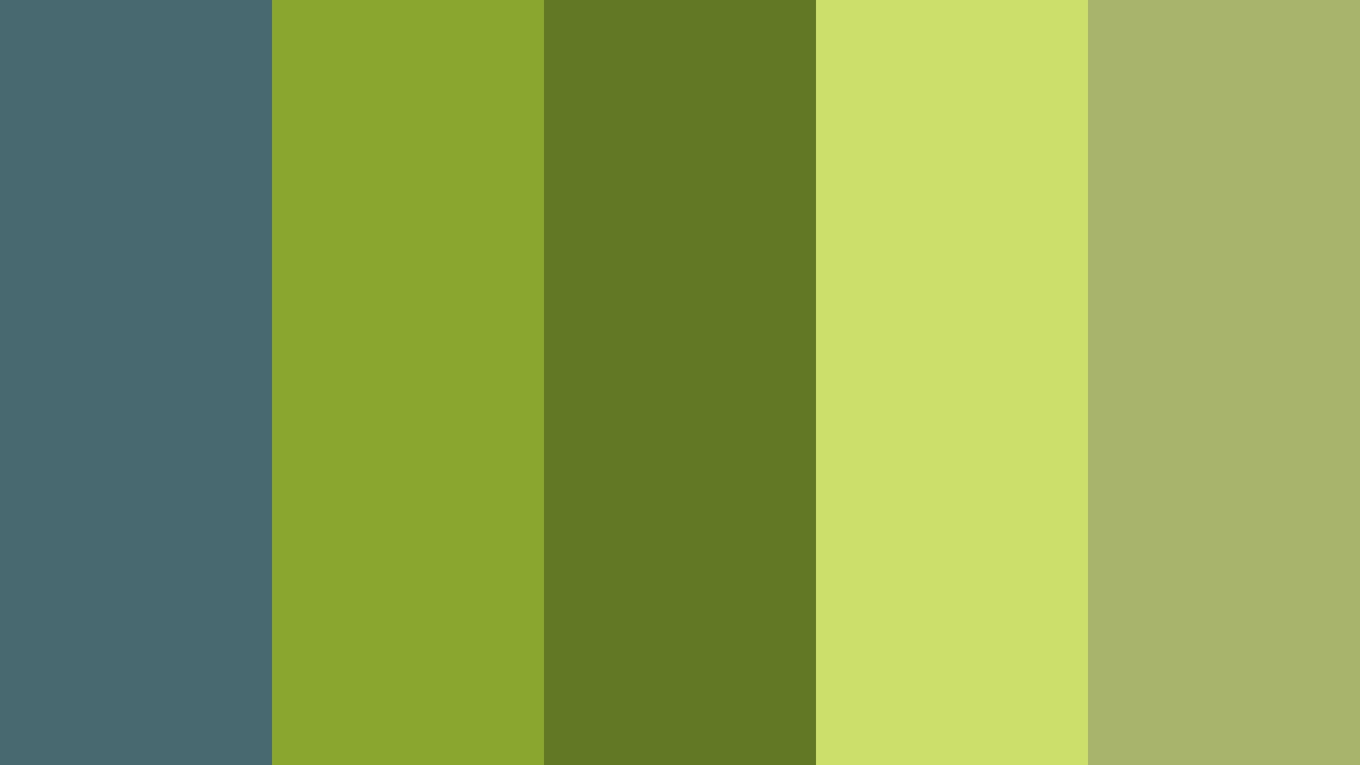 Download Green Cucumber Png Image HQ PNG Image | FreePNGImg