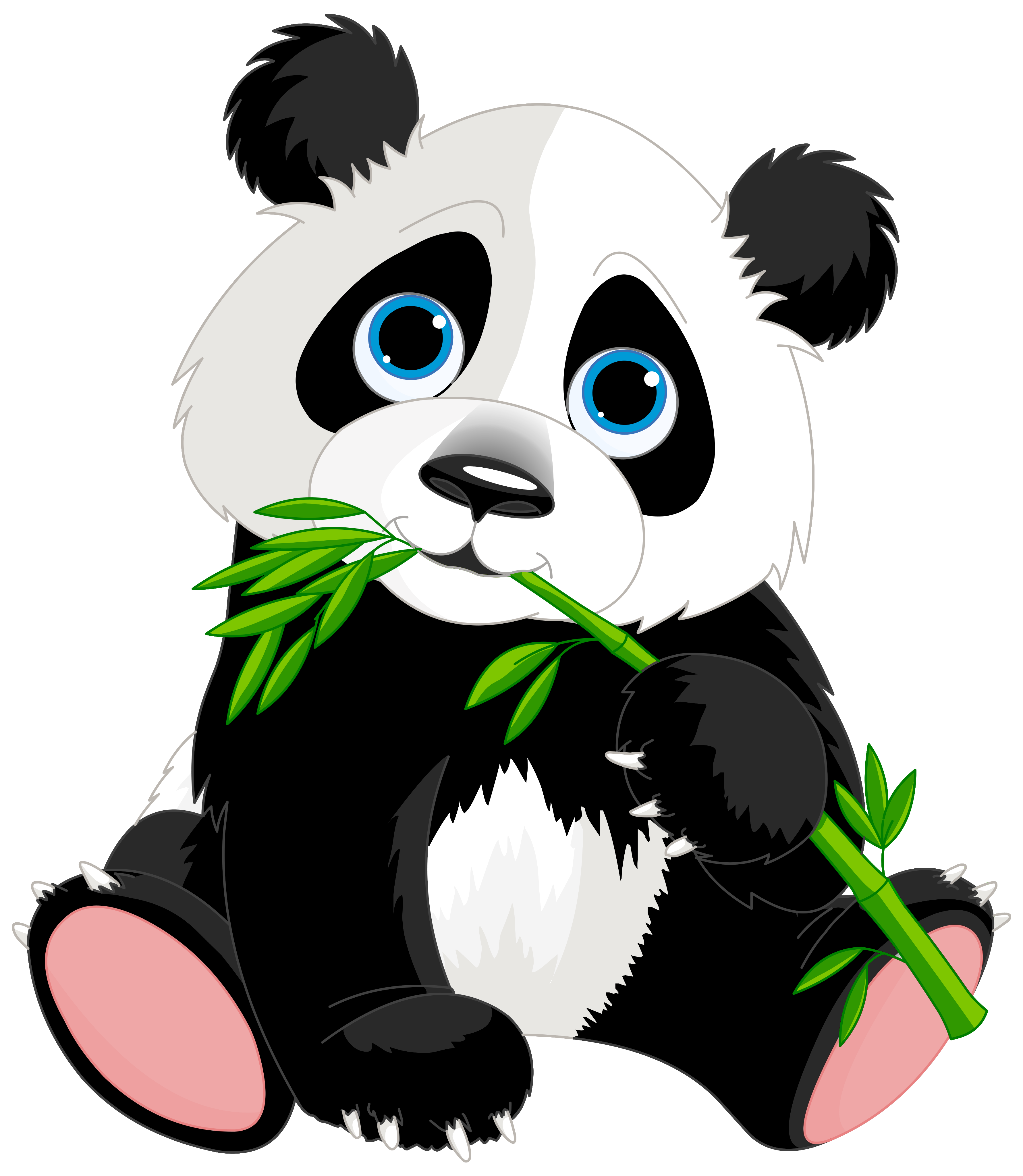 Panda PNG Image