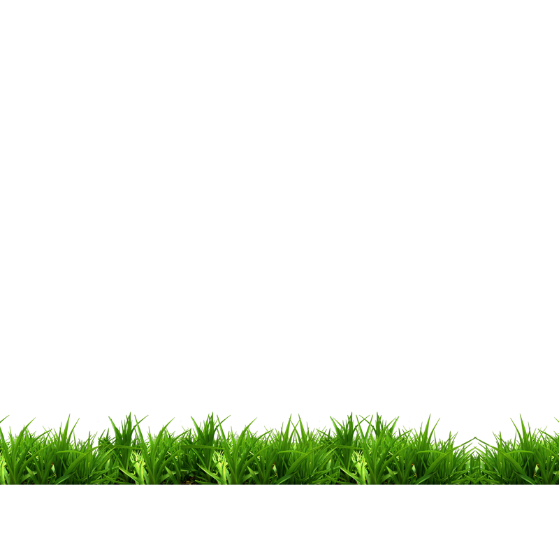 Green White Grass Park Bench Free Frame PNG Image