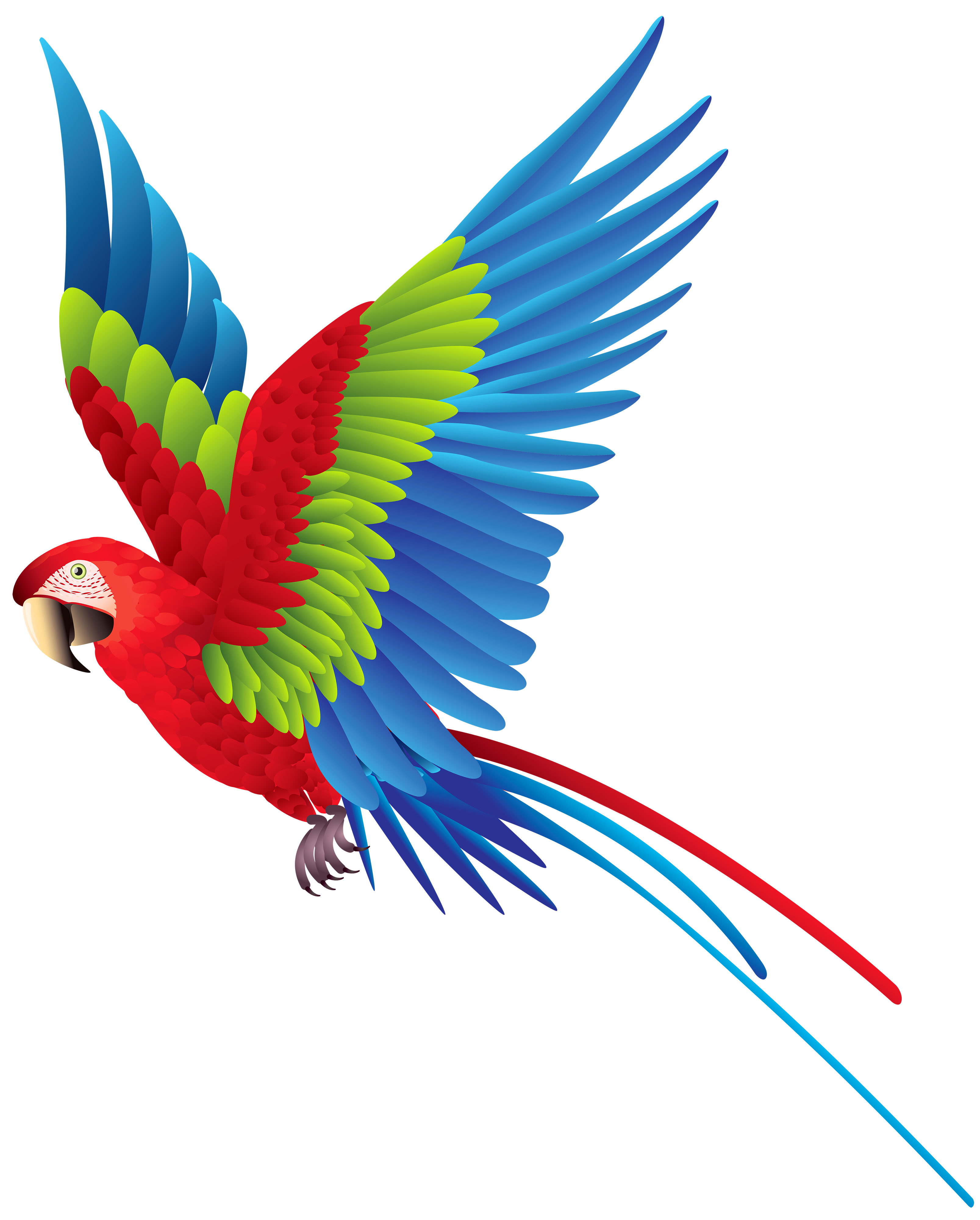 Parrot Png Image PNG Image