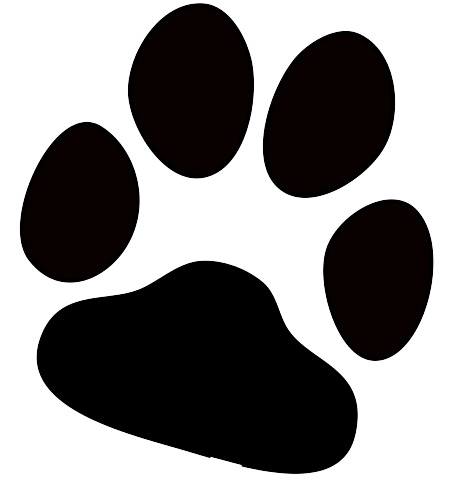 Paw PNG Image