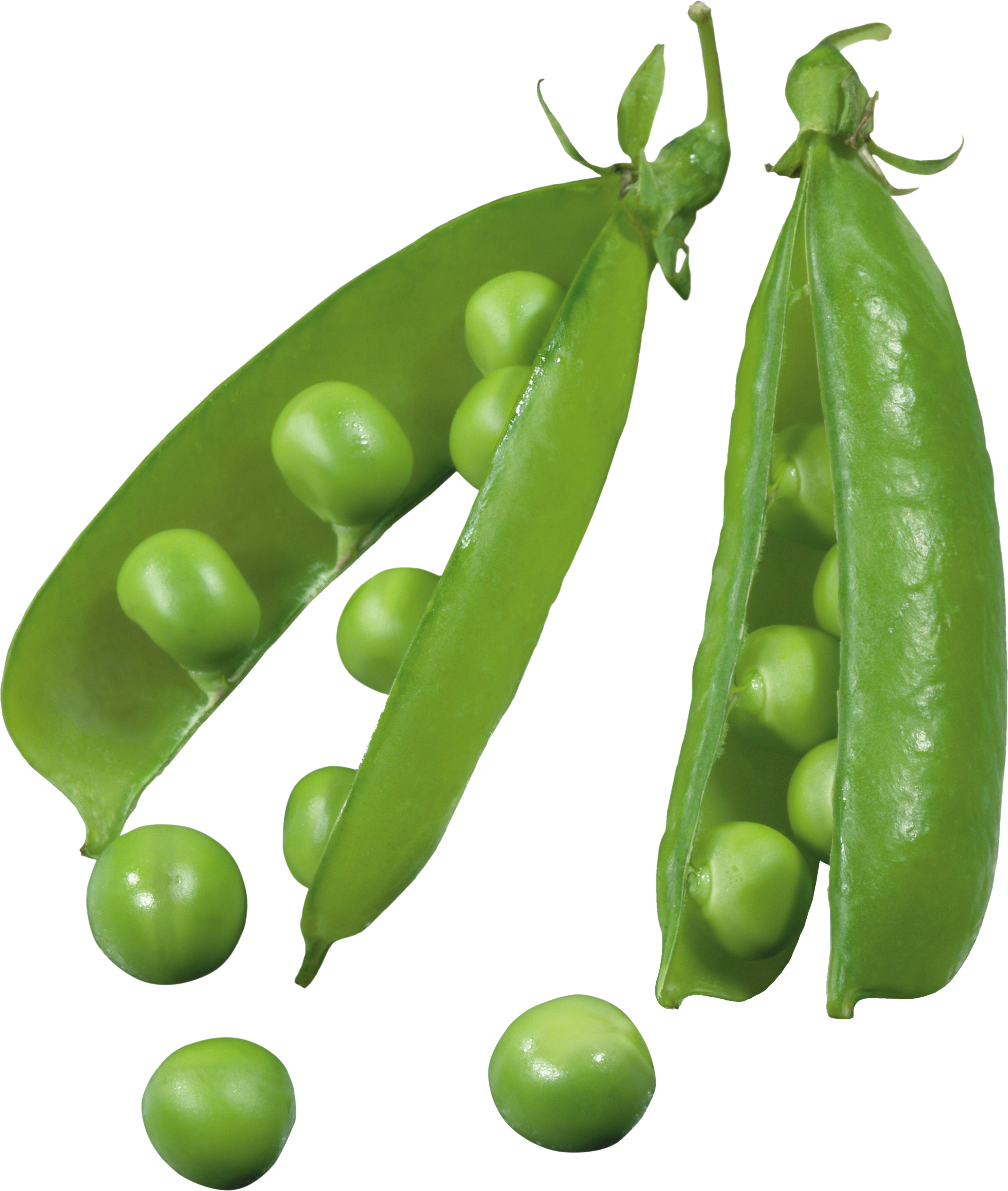 Pea PNG Image
