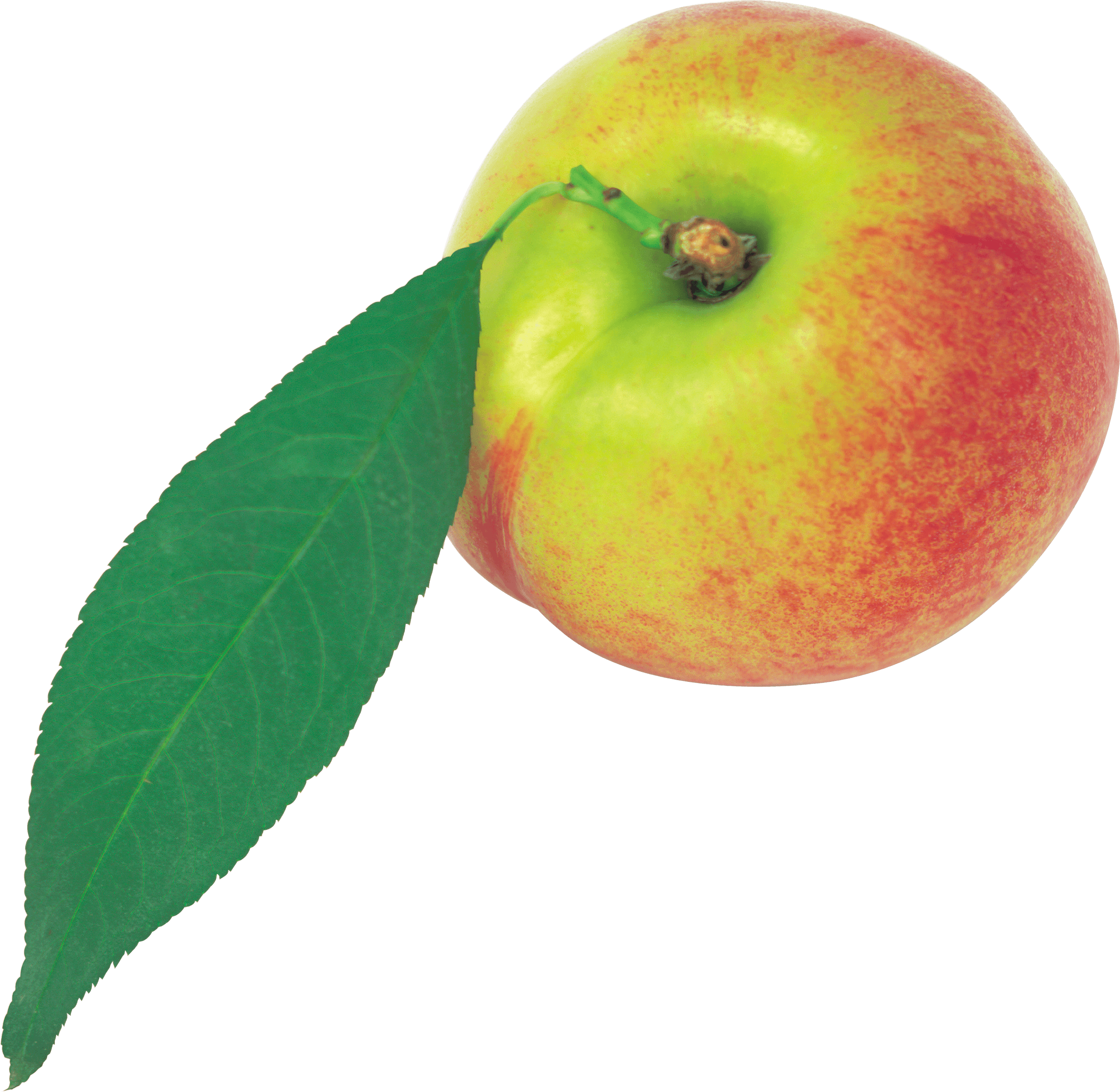 Peach Png Image PNG Image