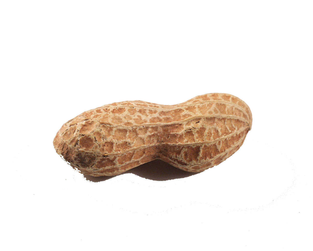 Peanut Png Clipart PNG Image