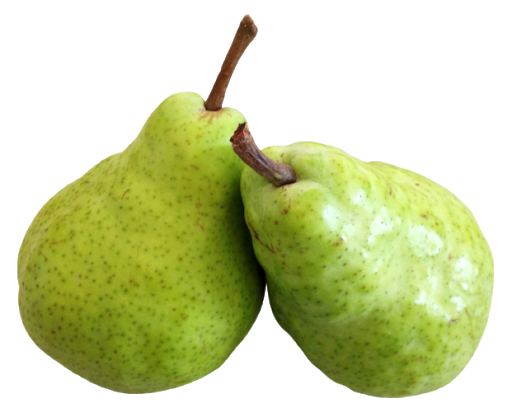 Pear Asian Free PNG HQ PNG Image
