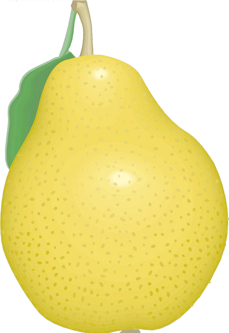 Pear Asian Free HD Image PNG Image