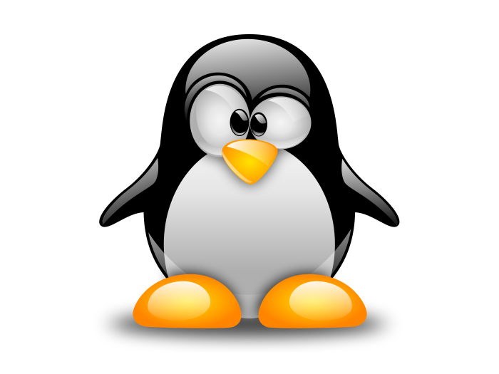 Samba Installation Servers Computer Build Linux Software PNG Image
