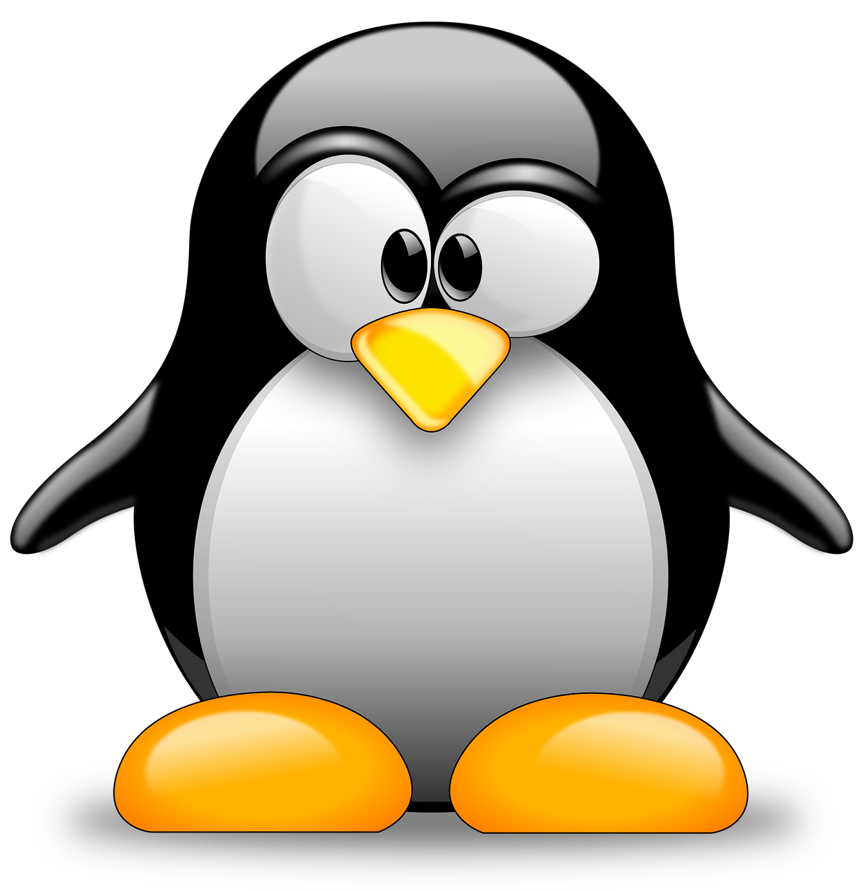 Tux Racer Linux Penguins Penguin Free Transparent Image HQ PNG Image