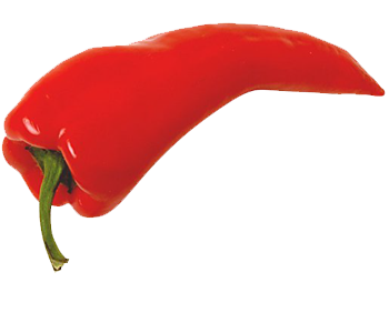 Pepper Png Picture PNG Image