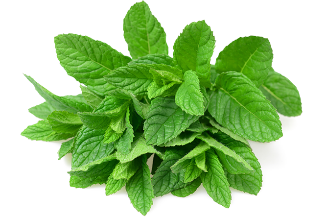 Pepermint PNG Image