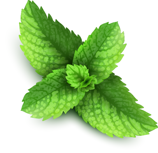 Pepermint PNG Image