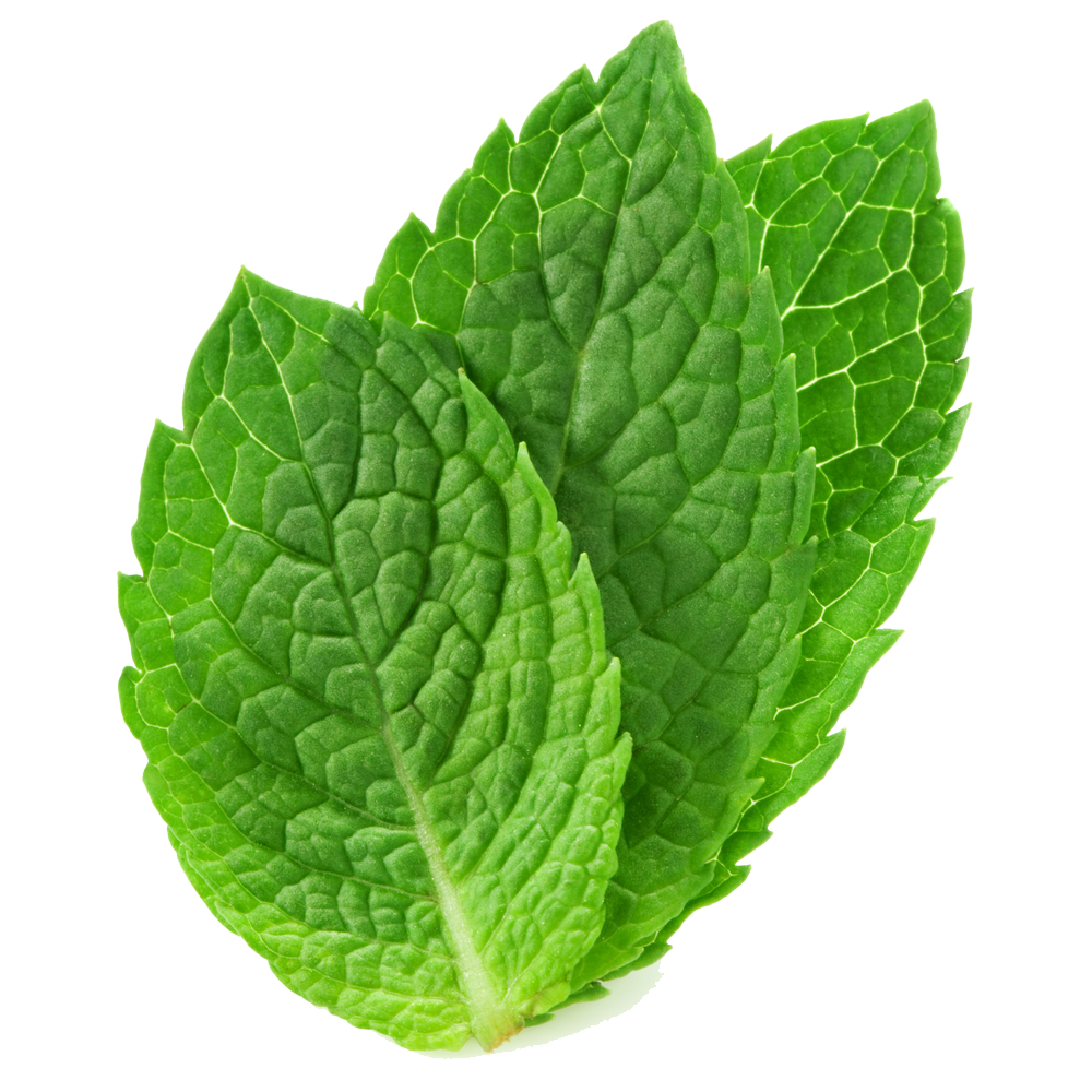 Mint PNG Image