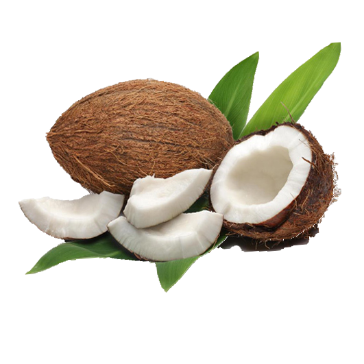 Water Coconut Oil Milk Meat Download HD PNG PNG Image