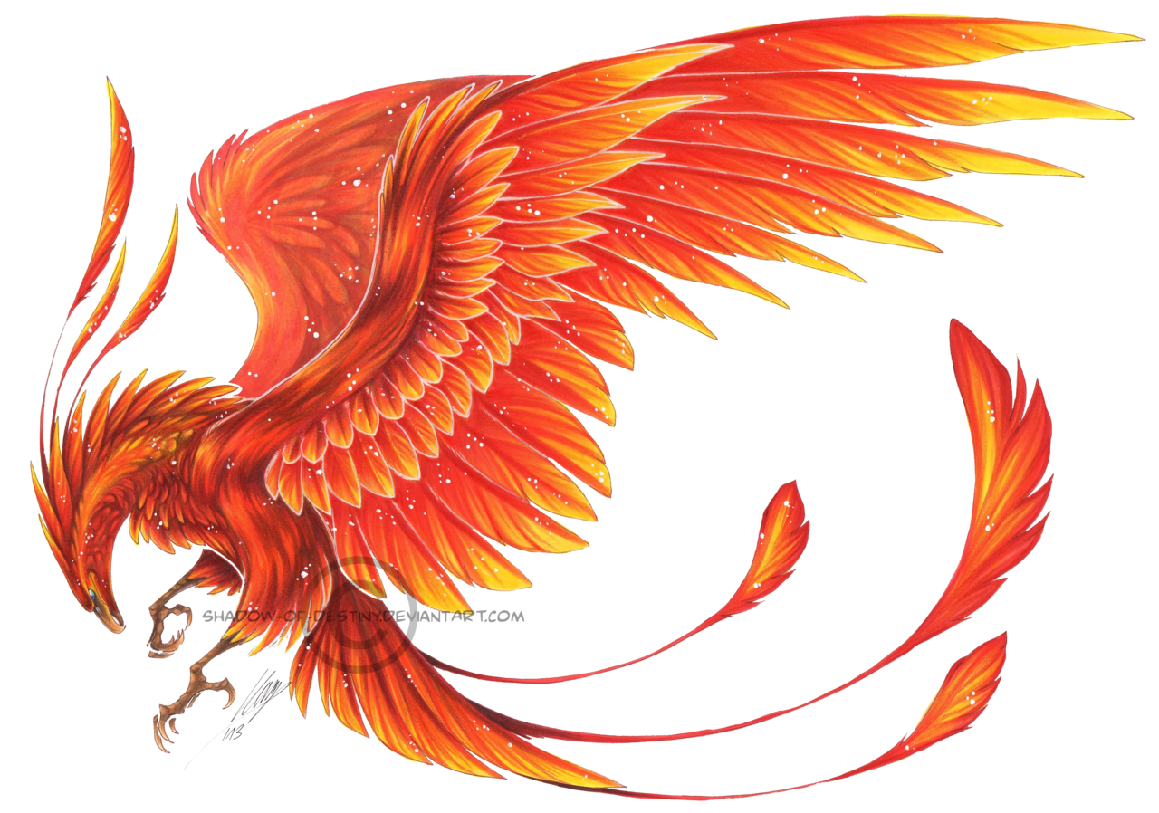 Phoenix Transparent PNG Image