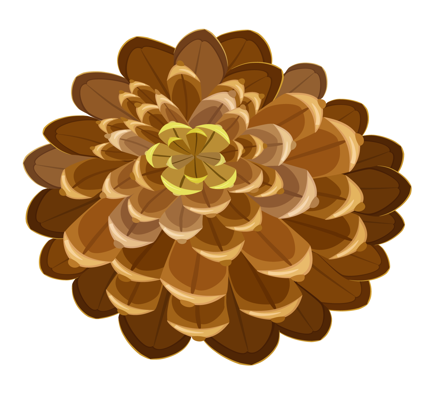 Pine cone PNG Image