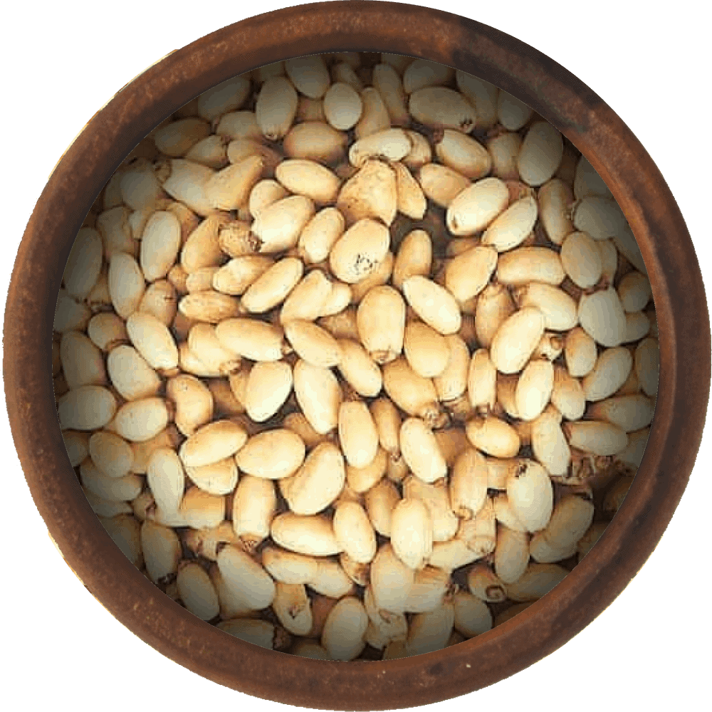 Pine nuts PNG Image