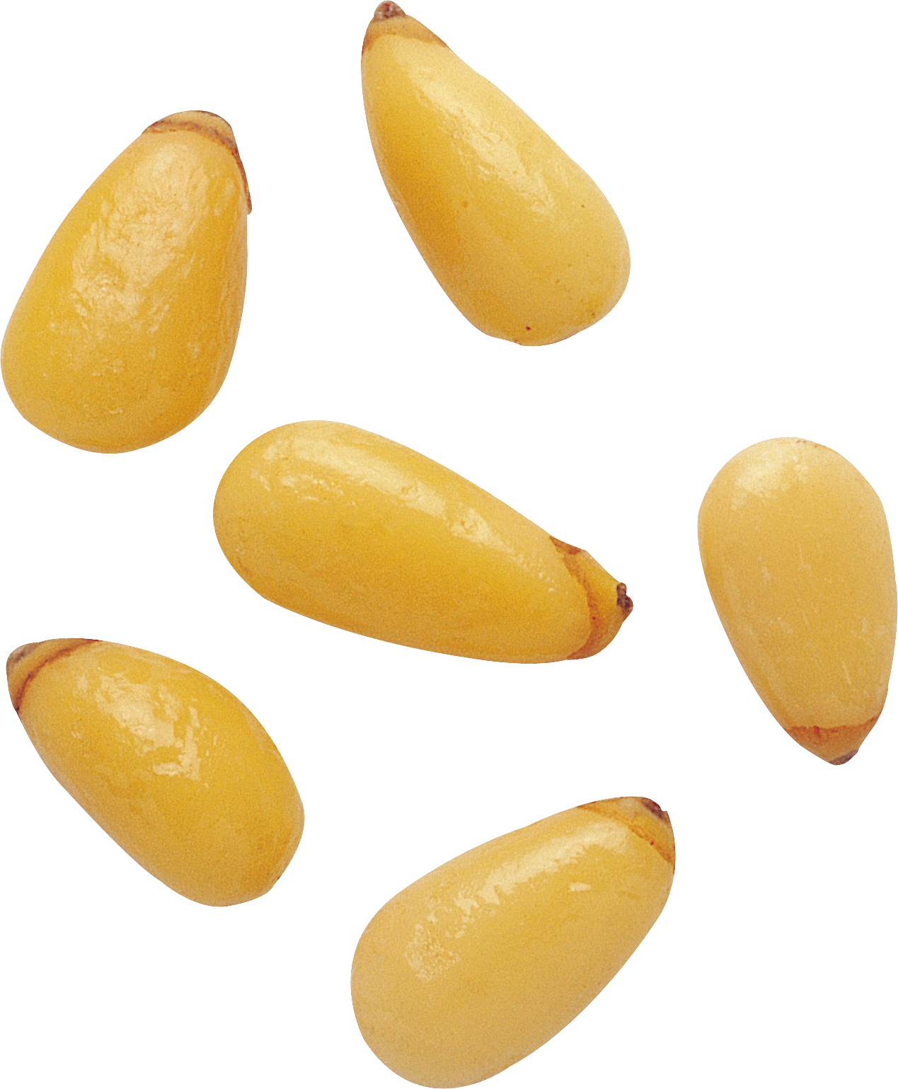 Pine nuts PNG Image