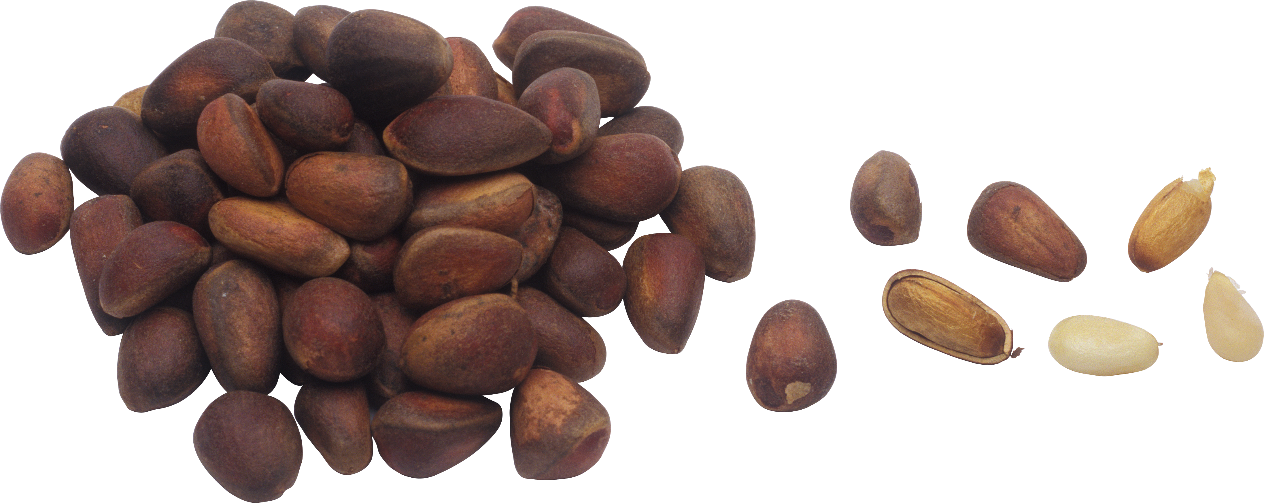 Pine nuts PNG Image