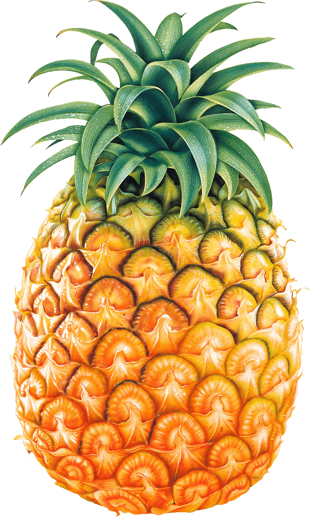 Pineapple Fruit Png Image PNG Image