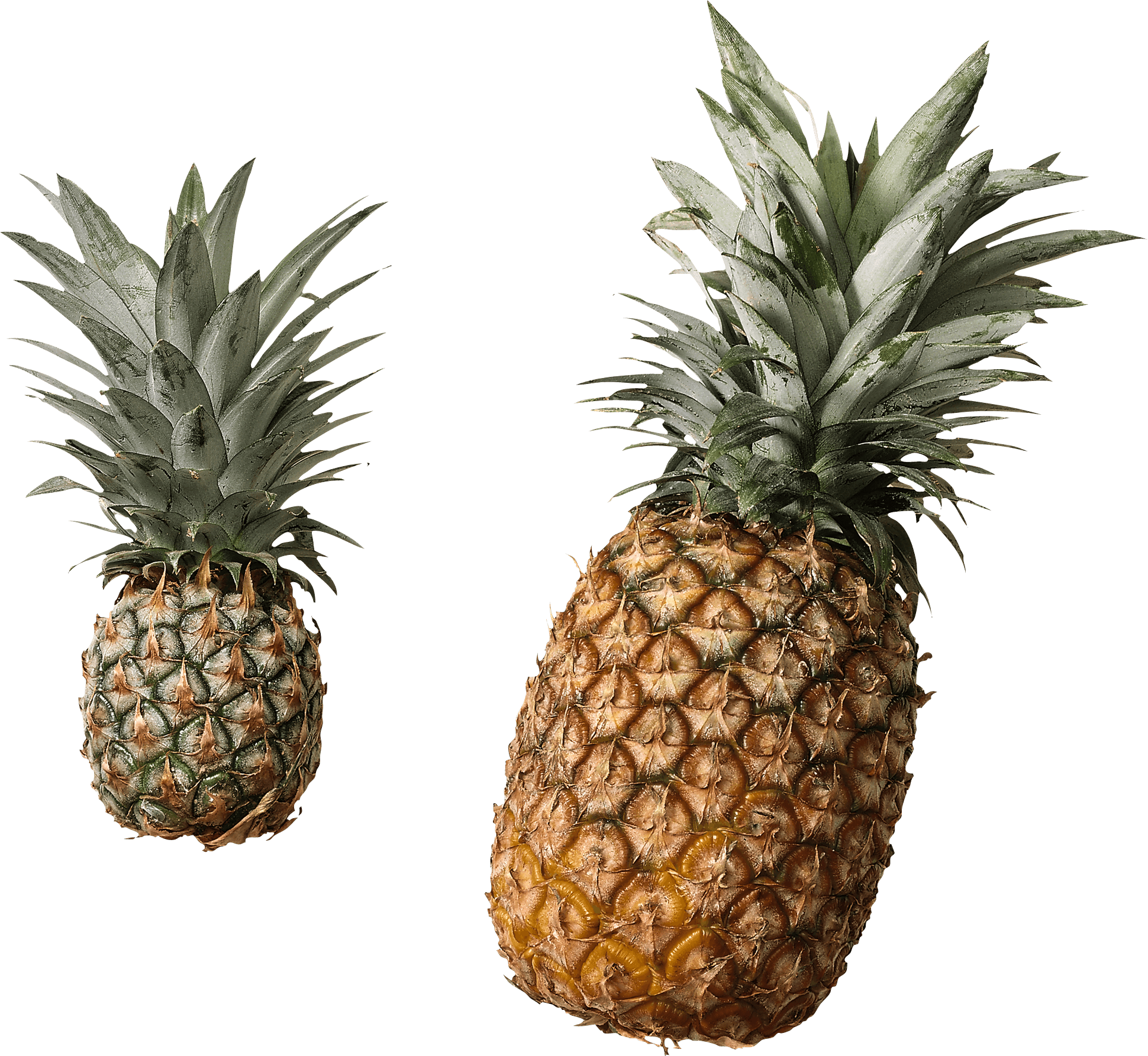 Pineapple Png Image Download PNG Image