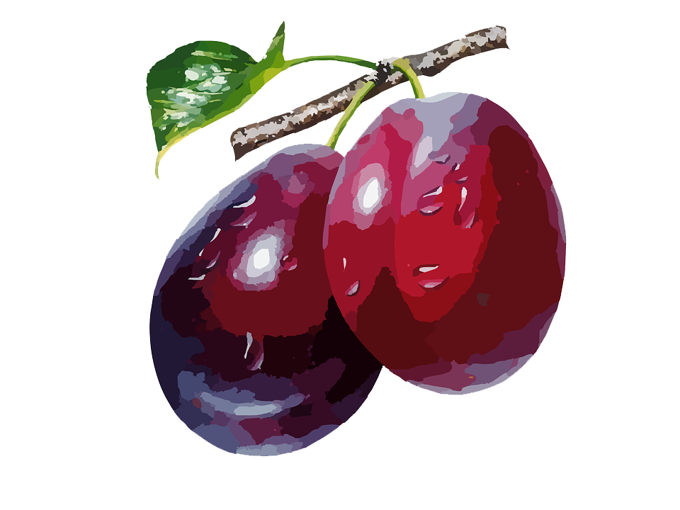 Plum High-Quality Png PNG Image
