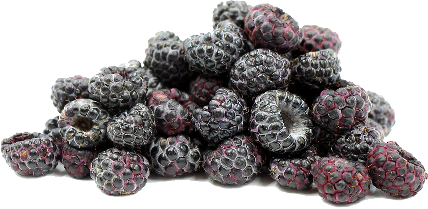 Black Raspberries File PNG Image