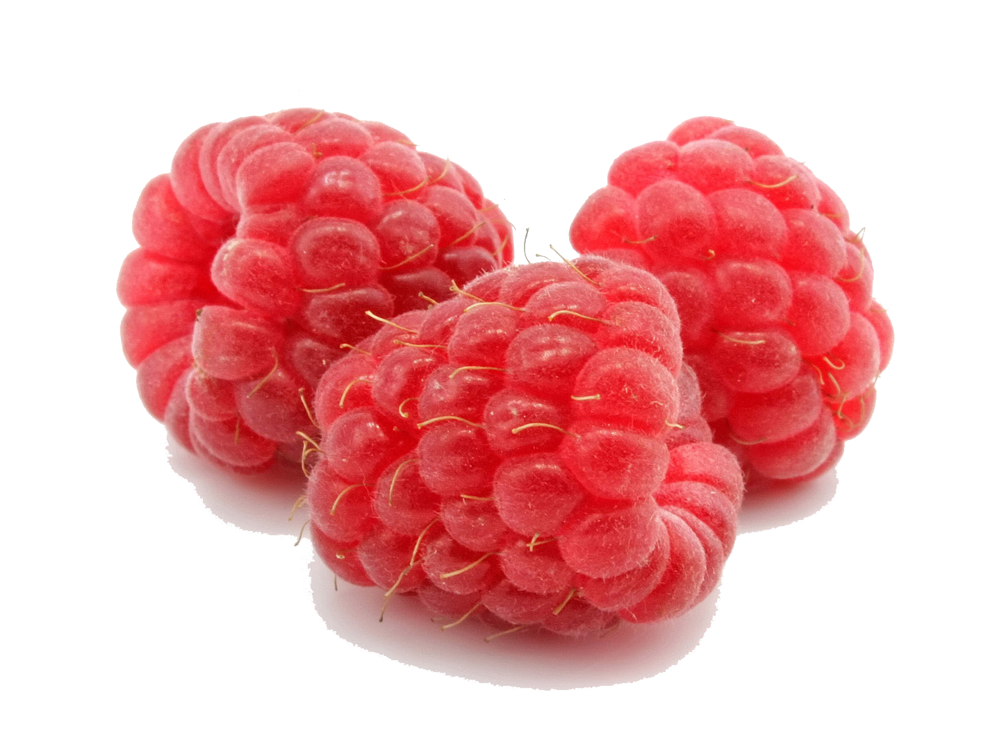 Raspberry File PNG Image