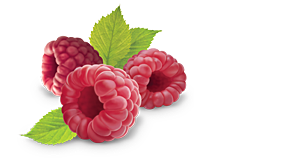 Raspberry Png Clipart PNG Image