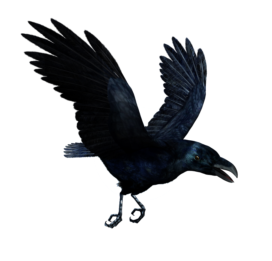 Raven Flying Hd PNG Image