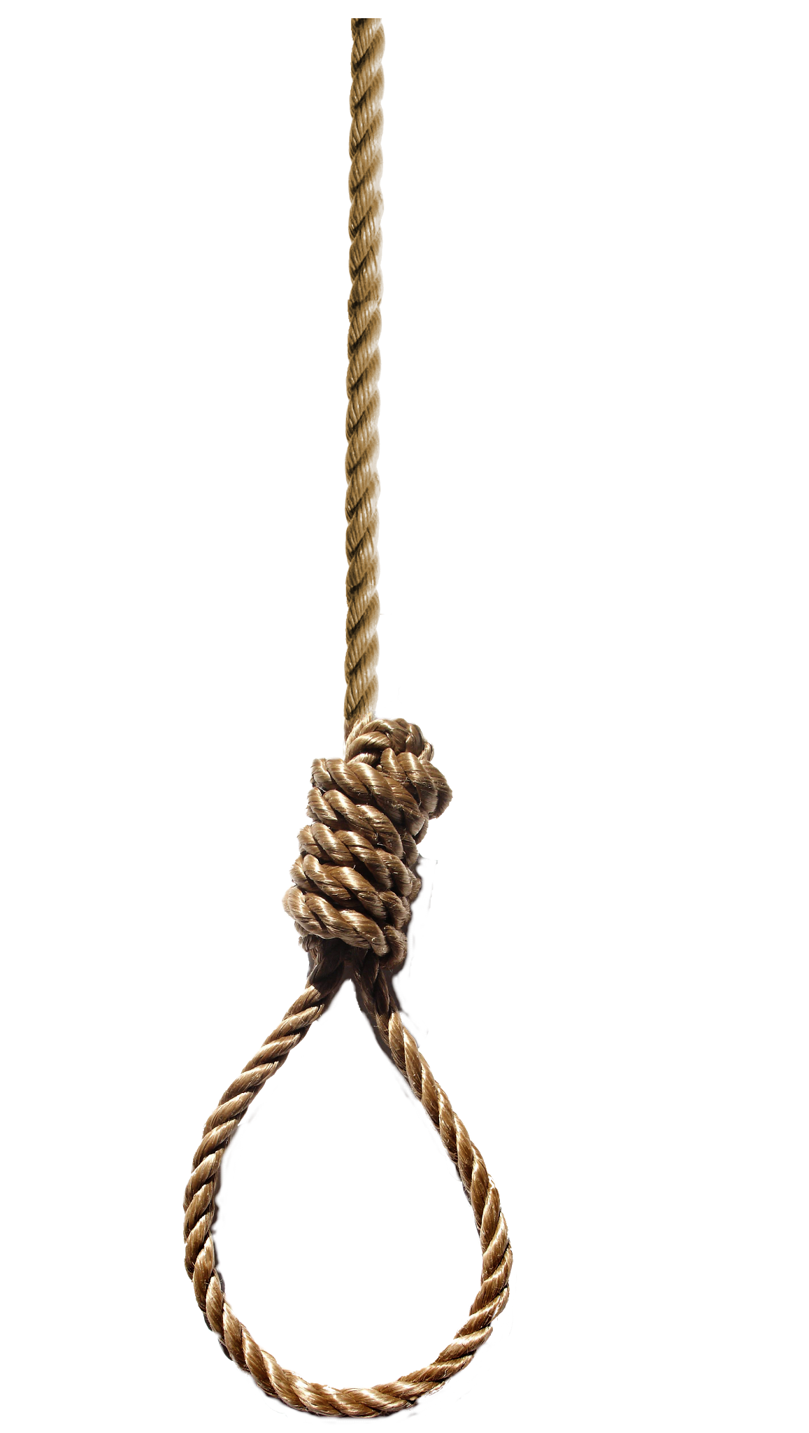 Rope loop PNG Image