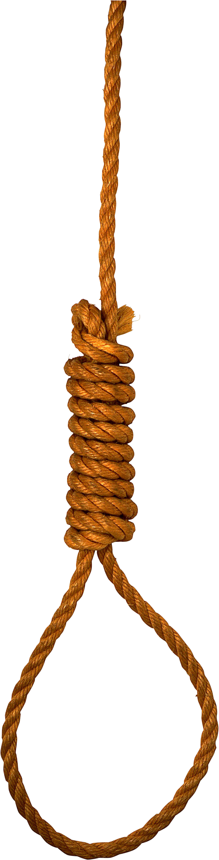 Download Free Rope loop ICON favicon | FreePNGimg