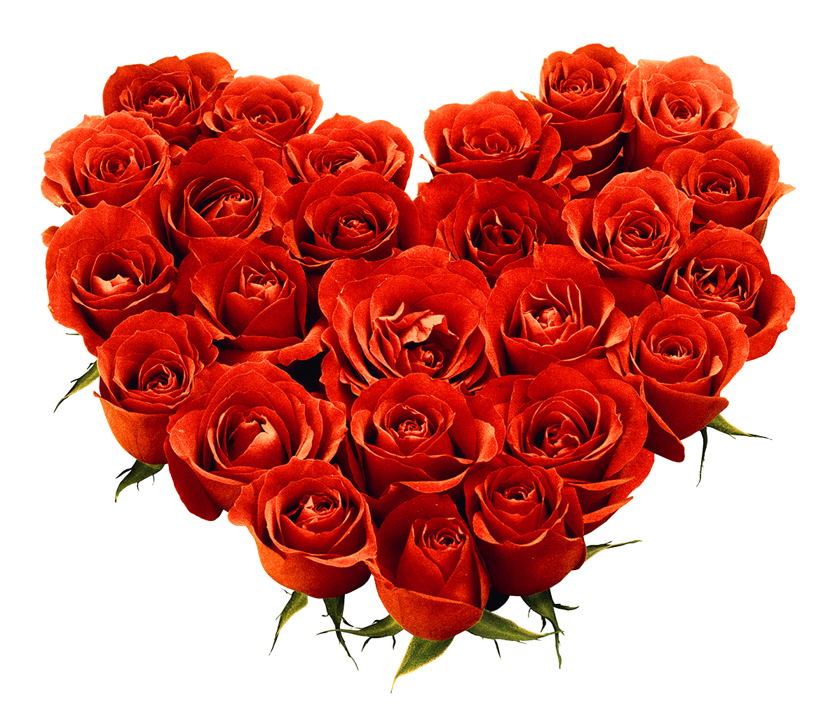 Bouquet Of Roses Png Image Picture Download PNG Image