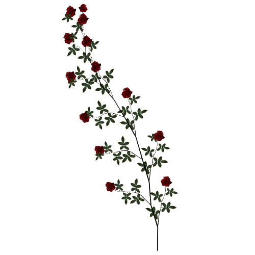 Download Rose Vine Clipart HQ PNG Image | FreePNGImg