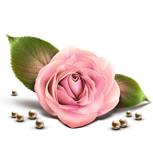 Pink Rose Clipart PNG Image