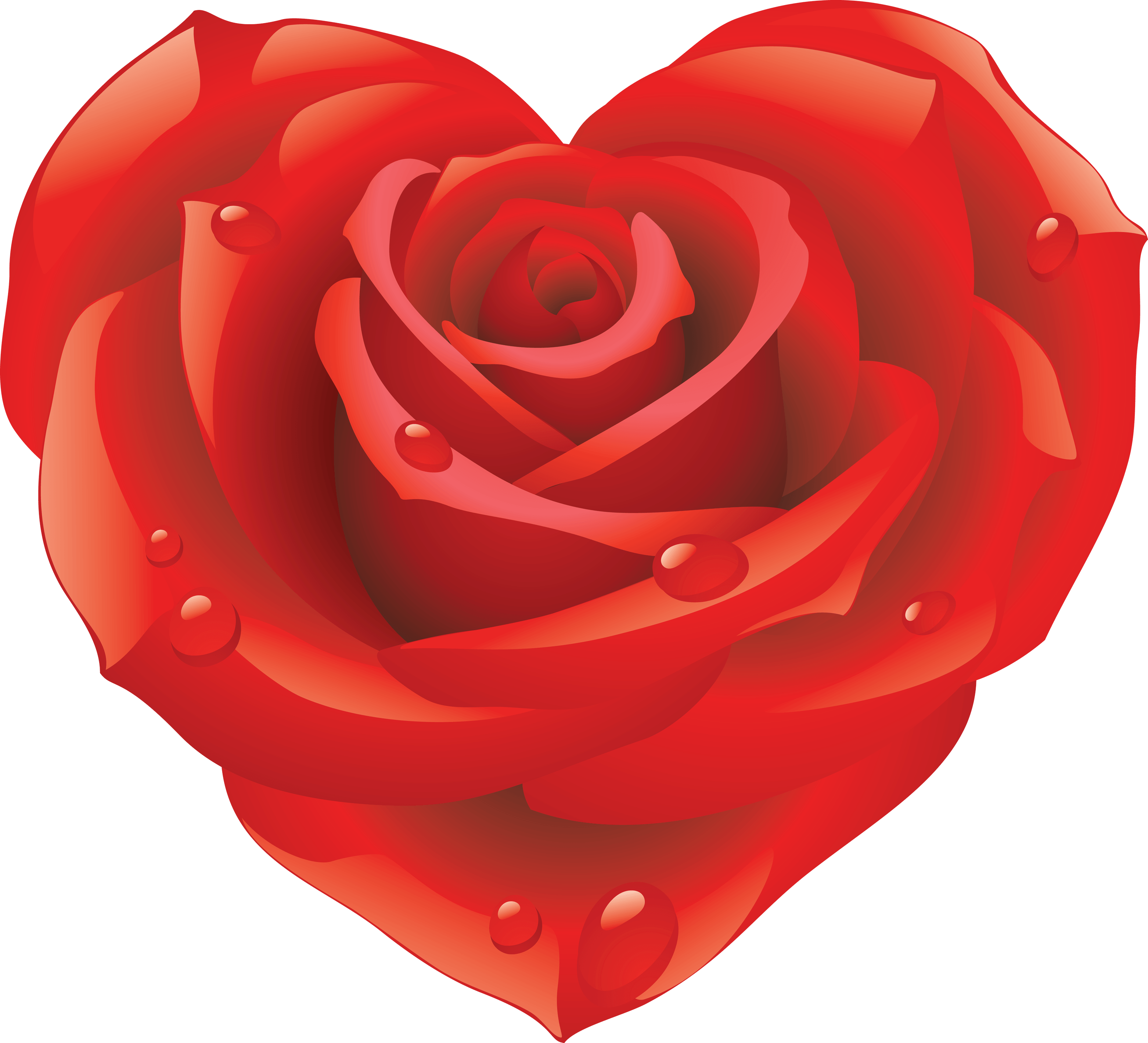 Rose Png Image Picture Download PNG Image