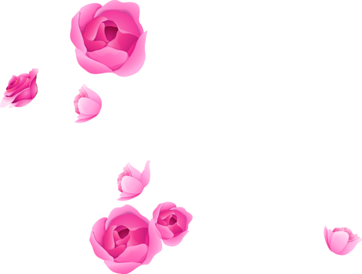 Photoshop Flower Adobe Portable Rose Graphics Border PNG Image