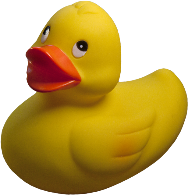 Rubber duck PNG Image