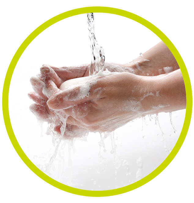 Picture Washing Hand PNG Download Free PNG Image