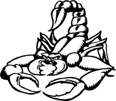 Scorpion Tattoos Free Png Image PNG Image