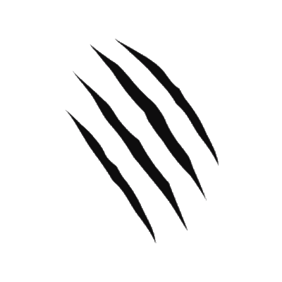 Scratches PNG Image
