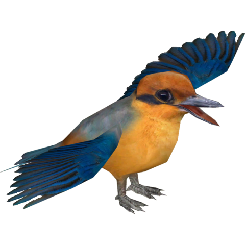Kingfisher Image Download HD PNG PNG Image