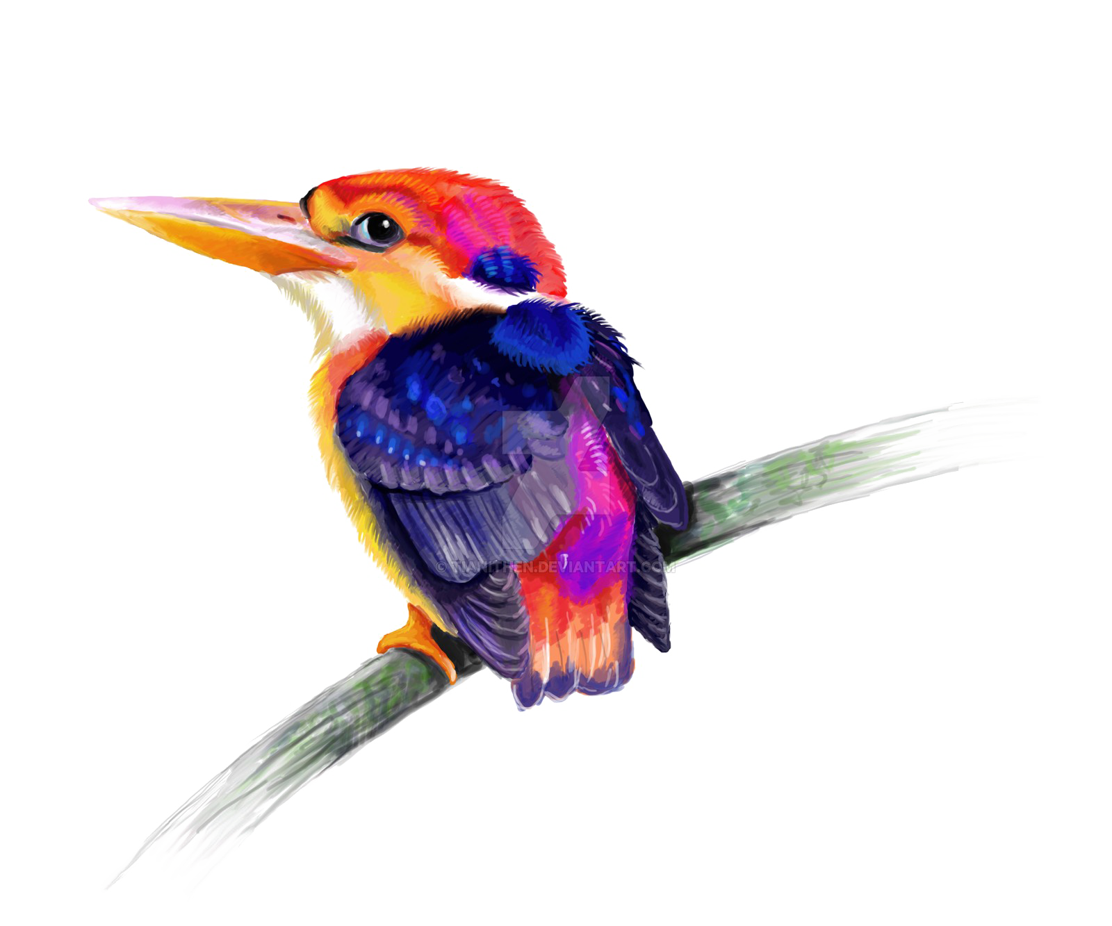 Kingfisher Free PNG HQ PNG Image