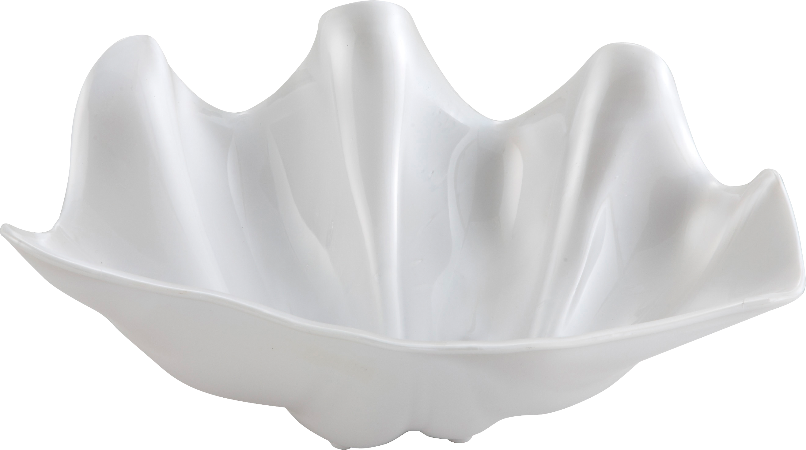 Seashell PNG Image
