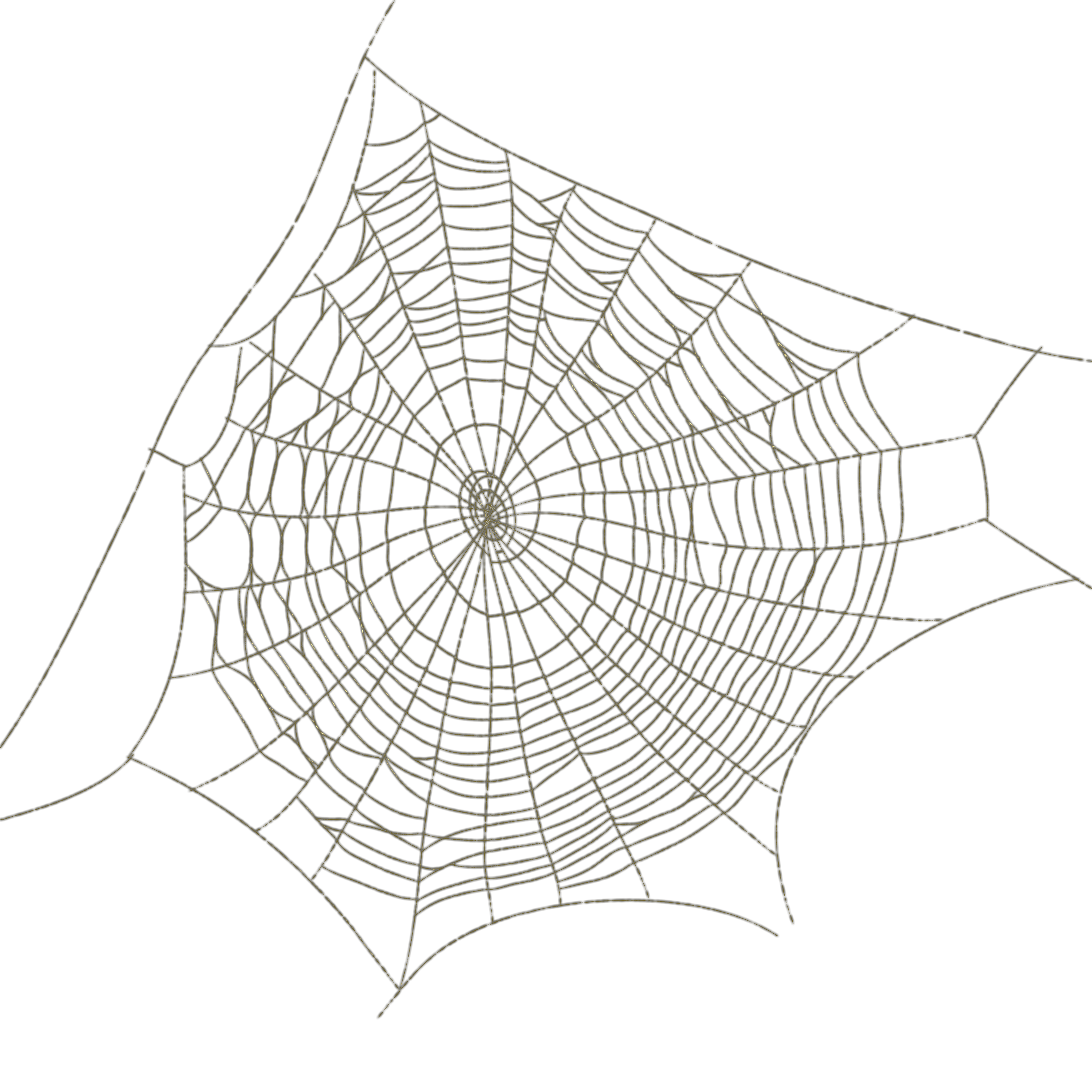 Web Angle Spider Drawing Free Frame PNG Image