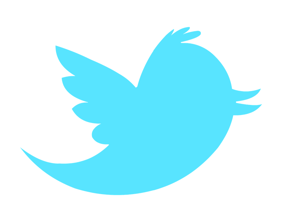 Logo Twitter Computer Bird Icons PNG Free Photo PNG Image